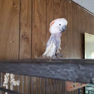 Meet your Posher, Kathi